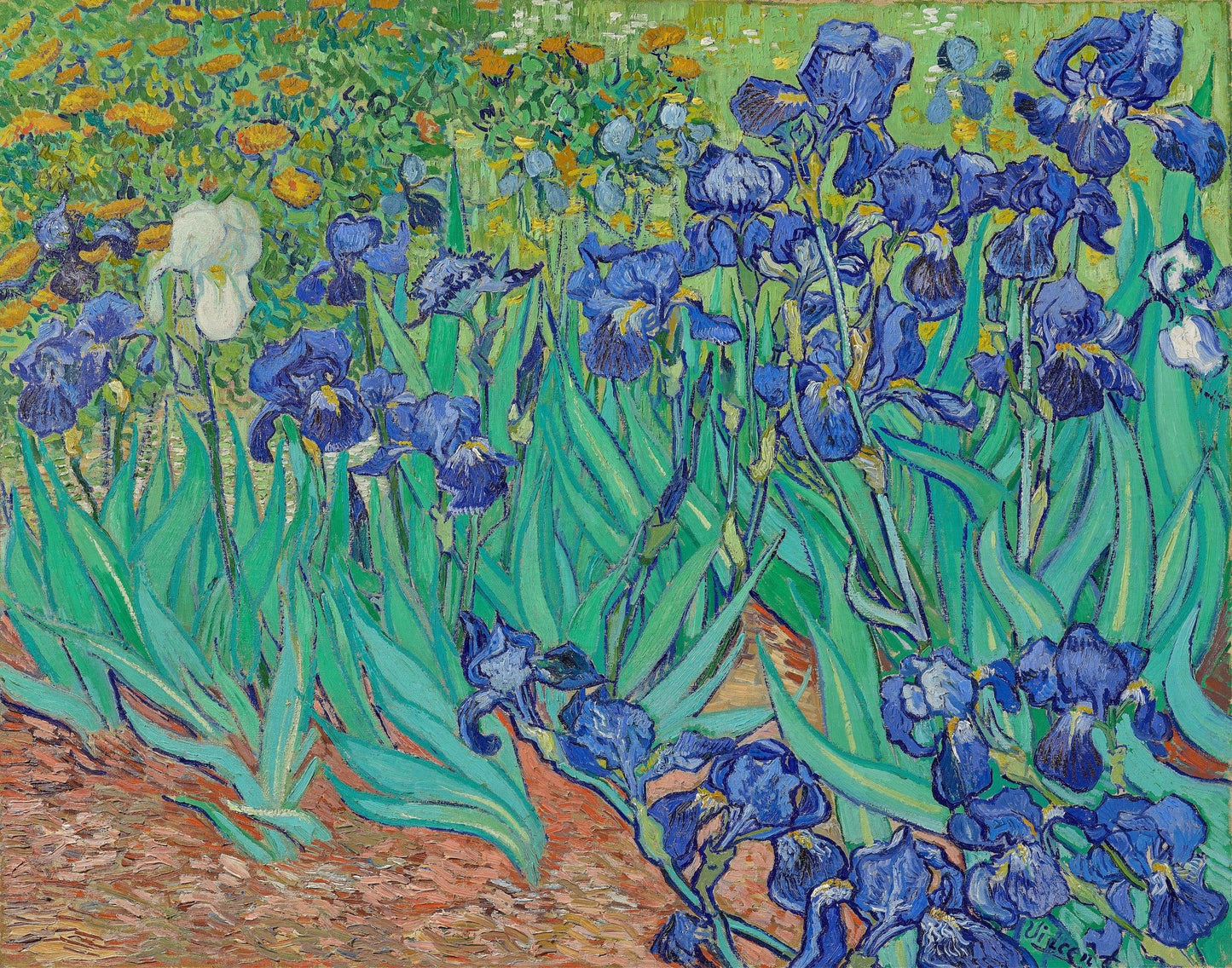 Van Gogh - Iris | Stampa piatta HD o in 3D - Materico