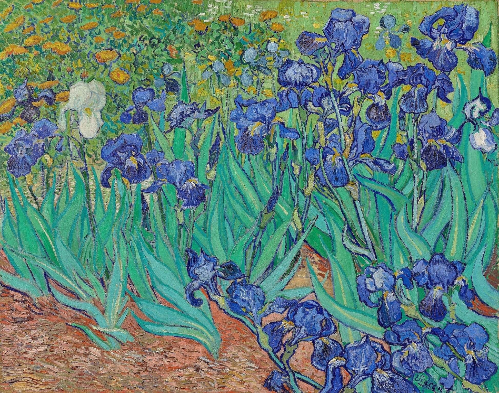 Van Gogh - Iris | Stampa piatta HD o in 3D - Materico