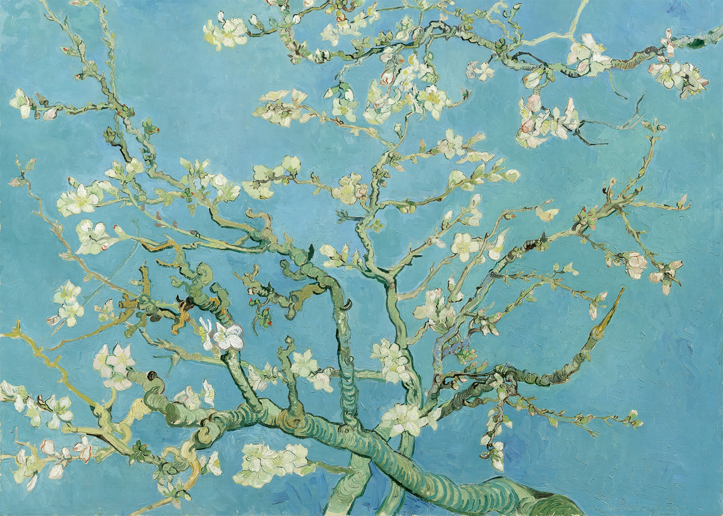 Van Gogh - Ramo di Mandorlo fiorito | Stampa piatta HD o in 3D