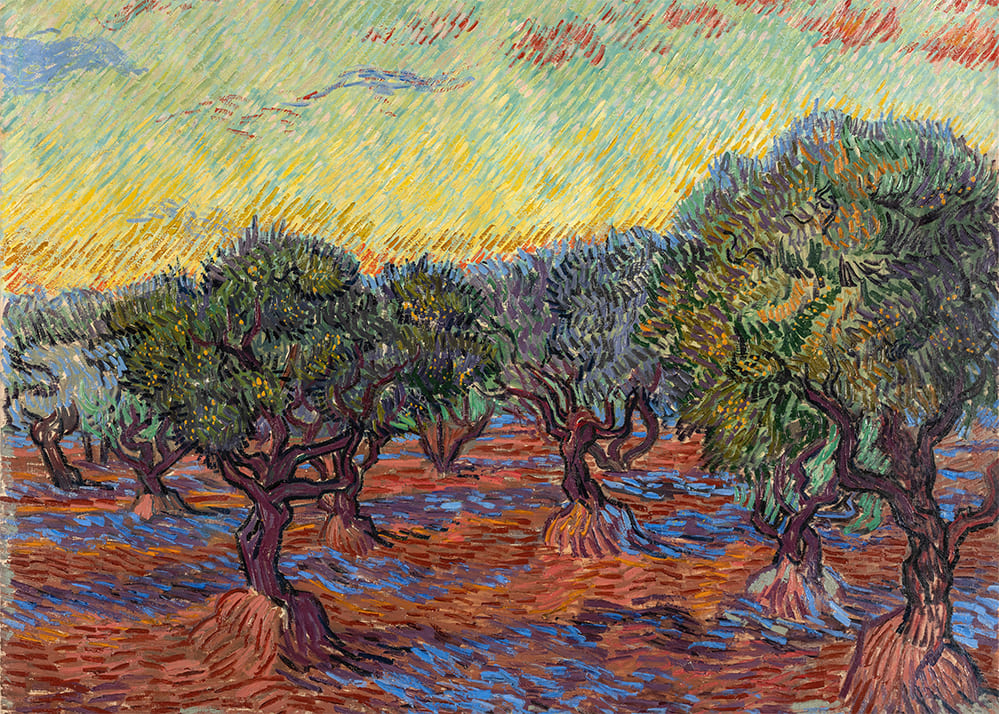 Van Gogh - Olive Grove, Saint-Rémy | Stampa piatta HD o in 3D