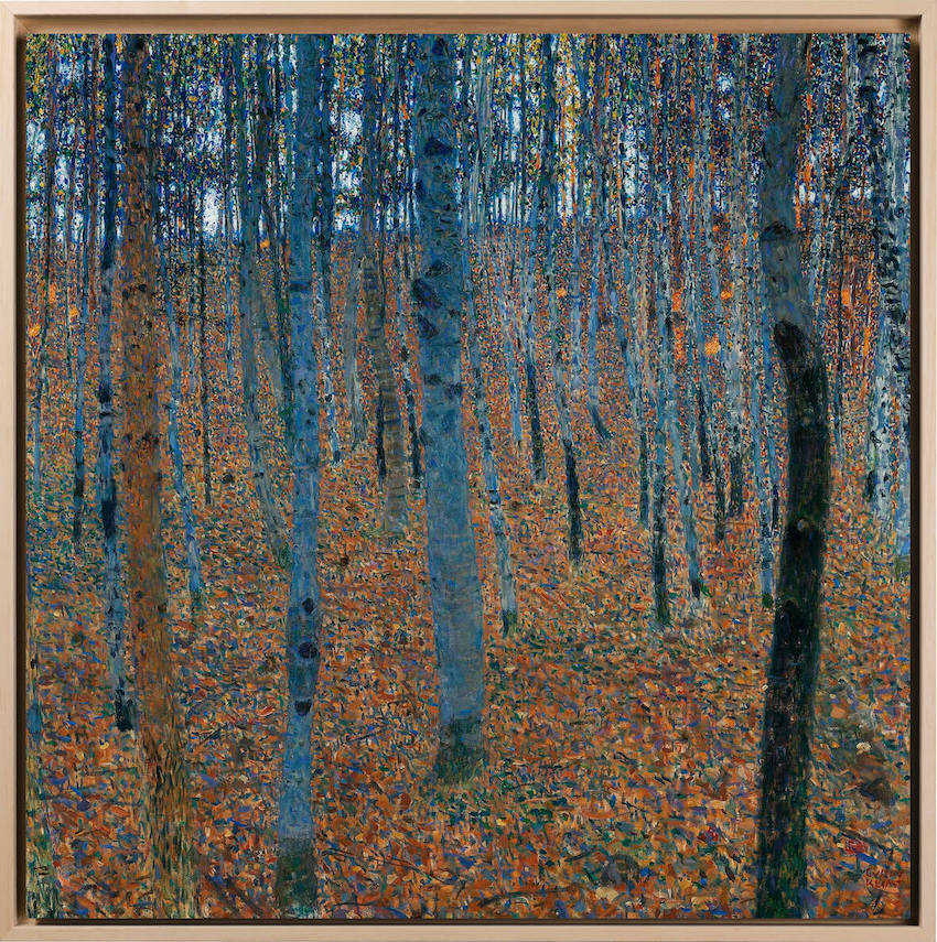Klimt - Bosco di betulle | Stampa piatta HD o in 3D