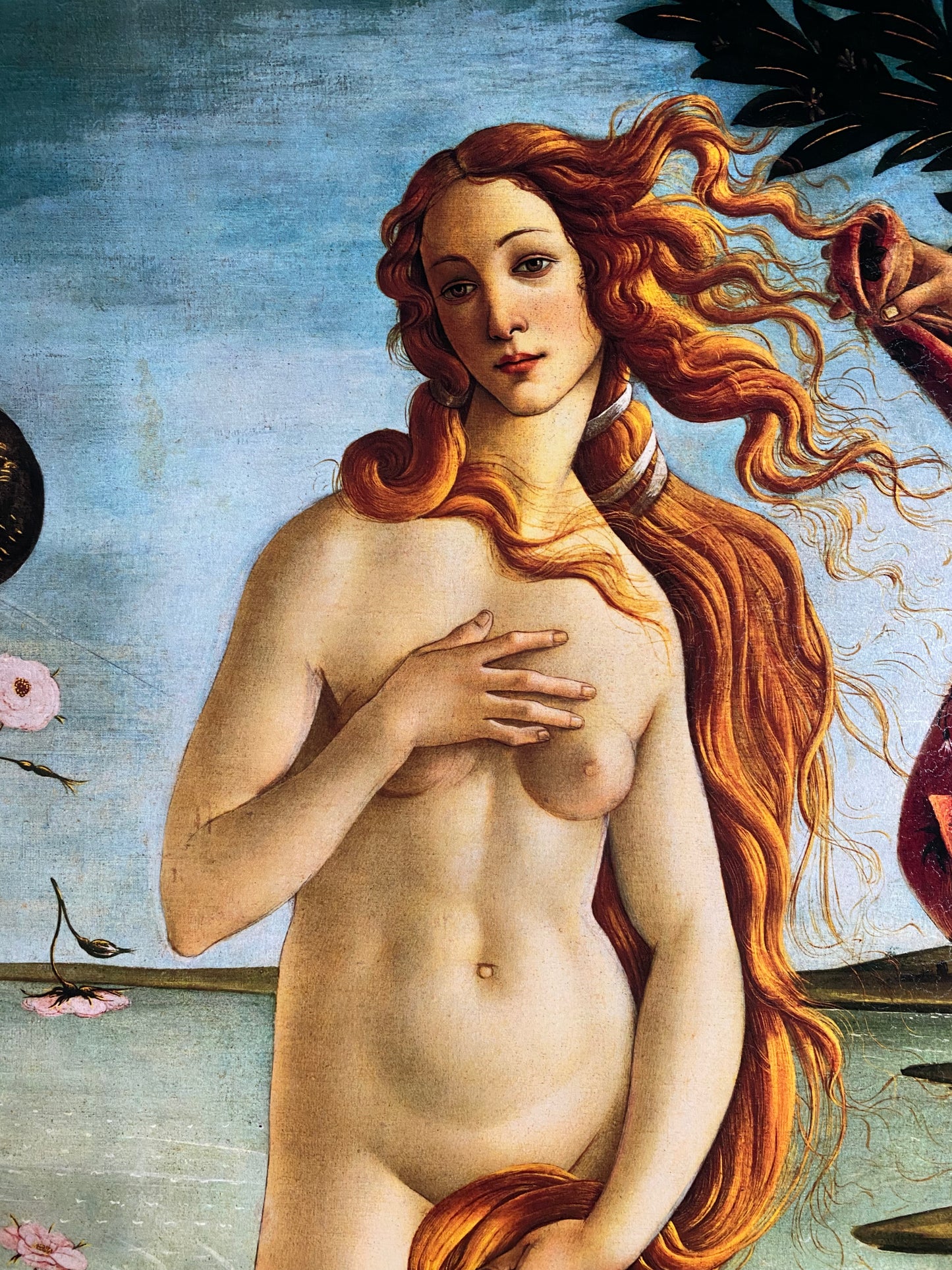 Botticelli - Geburt der Venus | Glanzeffekt