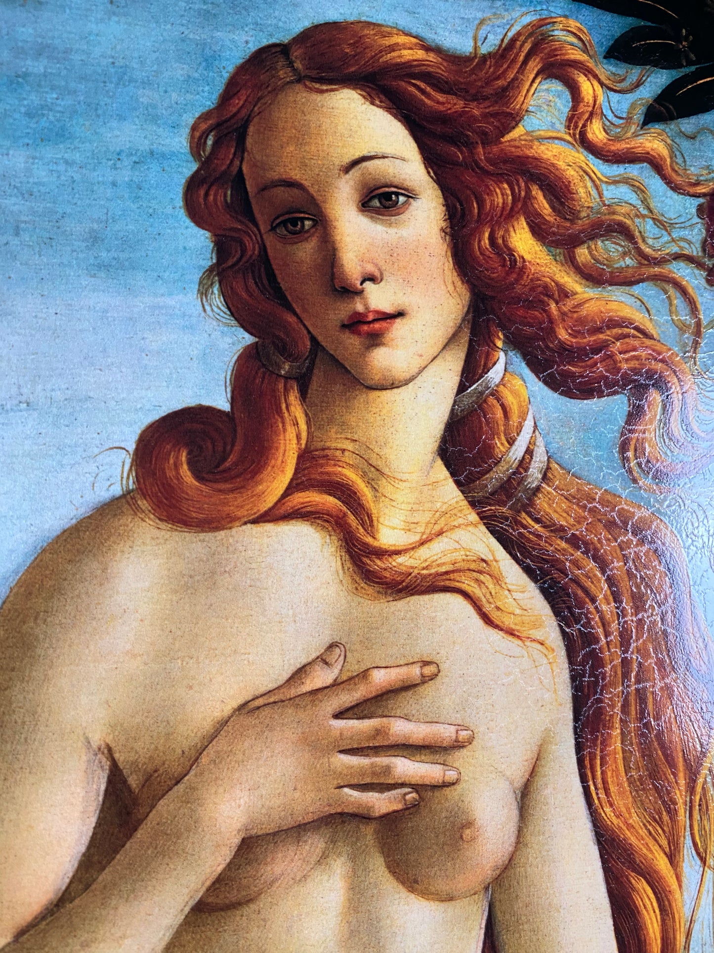 Botticelli - Geburt der Venus | Glanzeffekt