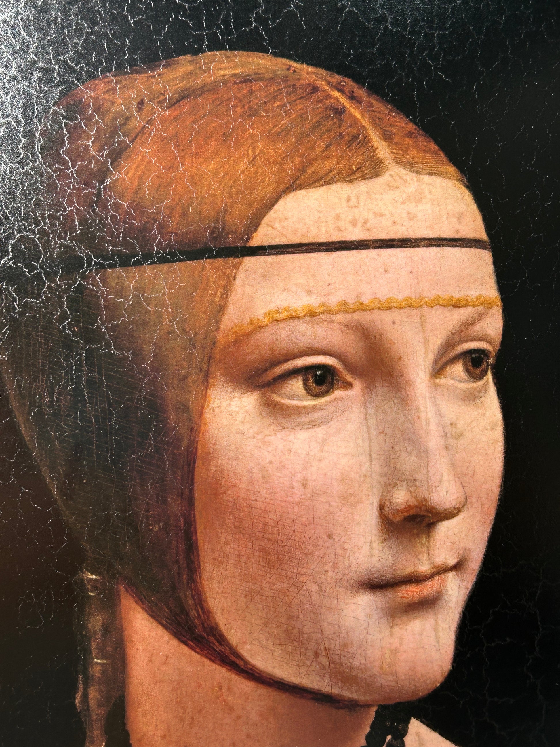 Da Vinci - Sant’Anna, la Vergine e il Bambino con l’agnellino | Effetto lucido - Materico