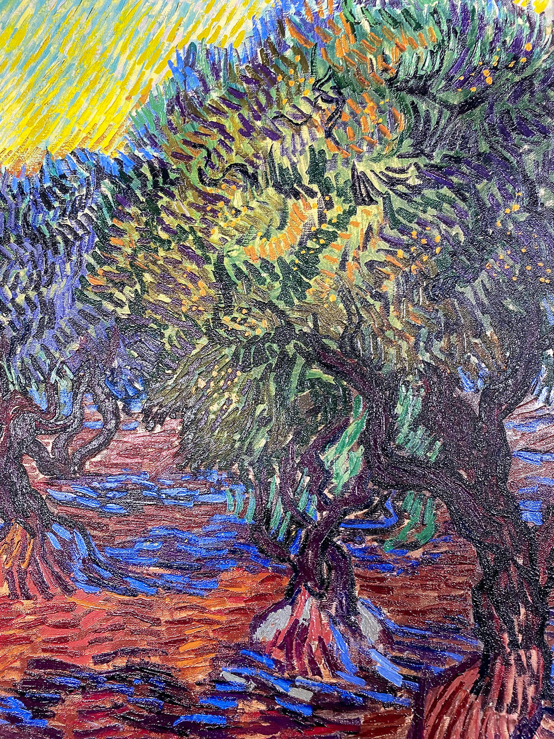 Van Gogh - Olive Grove, Saint-Rémy | Stampa piatta HD o in 3D