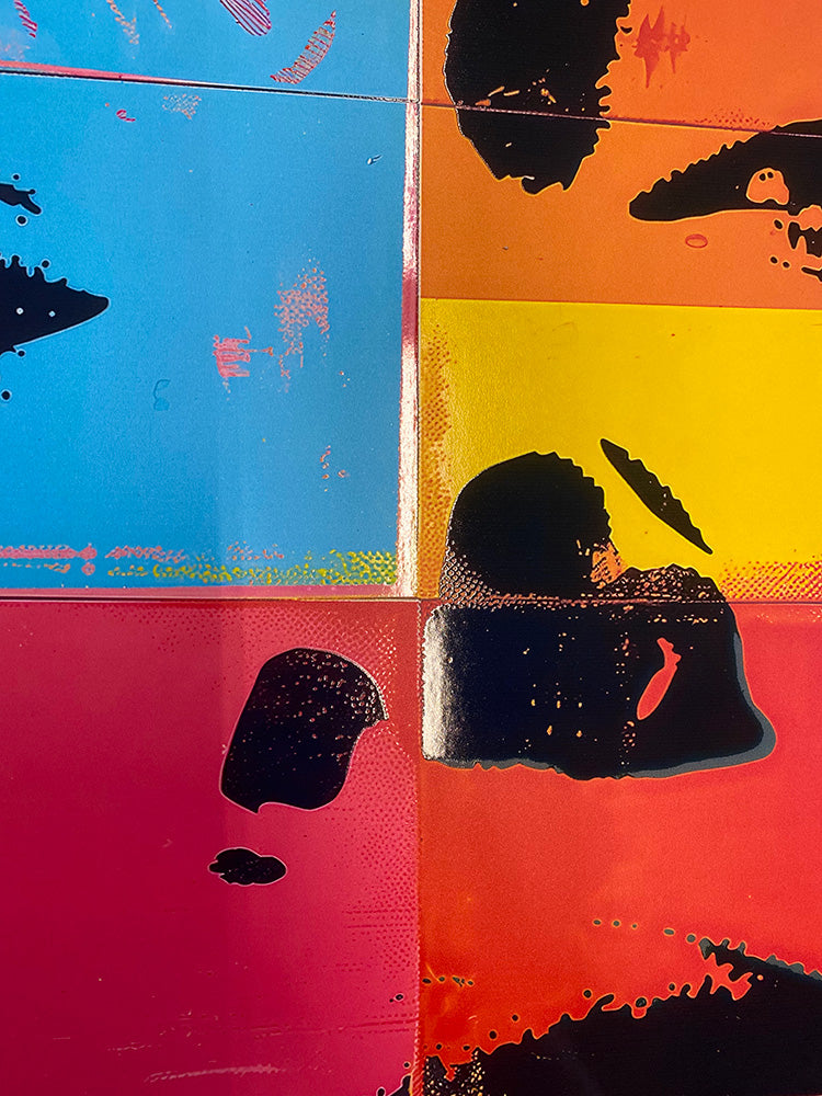 Pop art - Disegno frontale volto donna ispirato a Andy Warhol | Effetto lucido