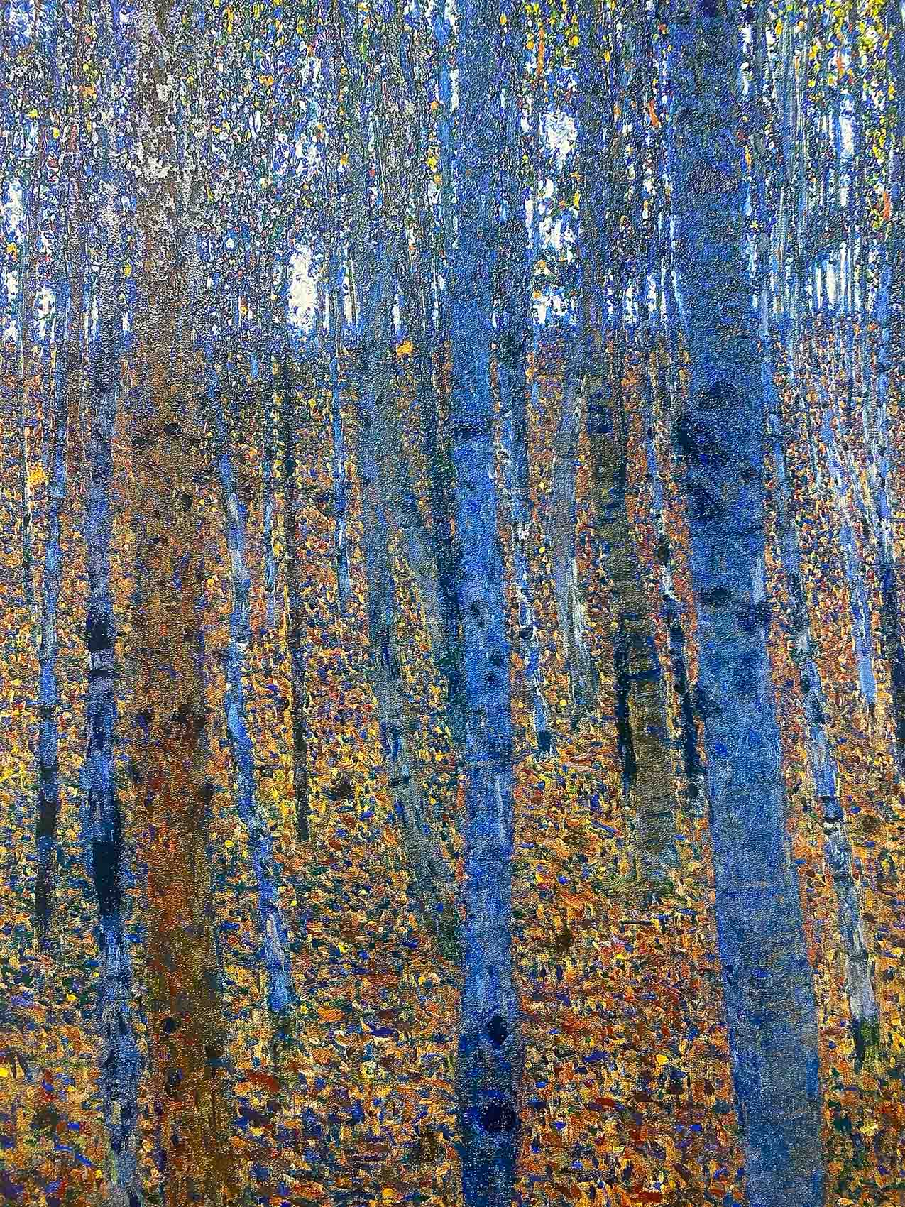 Klimt - Bosco di betulle | Stampa piatta HD o in 3D