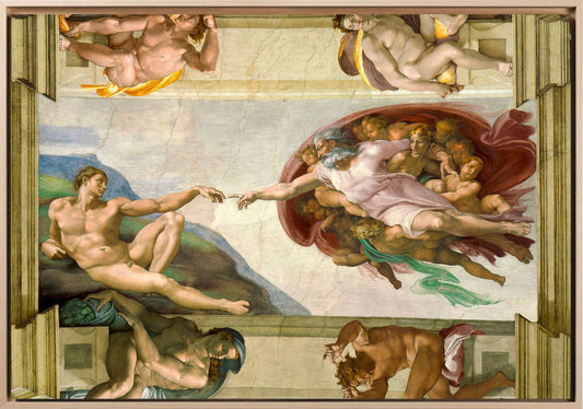 La Creazione di Adamo di Michelangelo: curiosità
