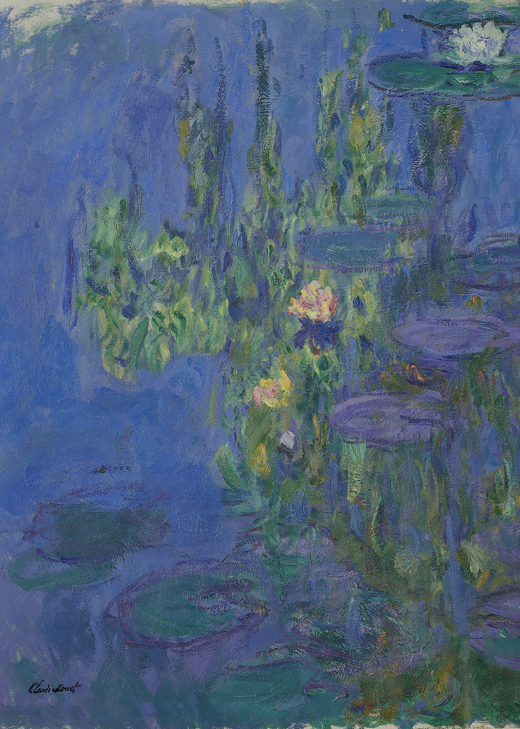 Monet e le ninfee notturne: luce e colore