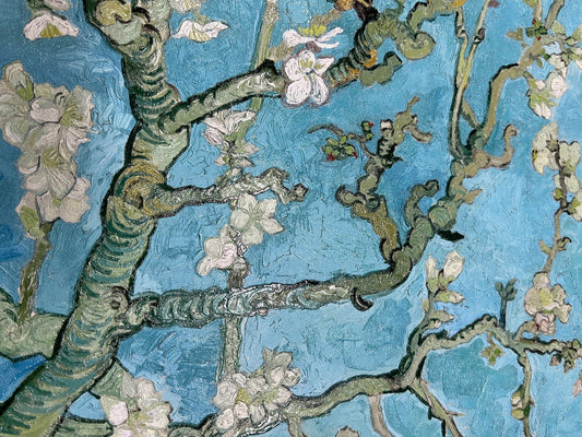 Mandorlo Fiorito di Van Gogh: storia e curiosità