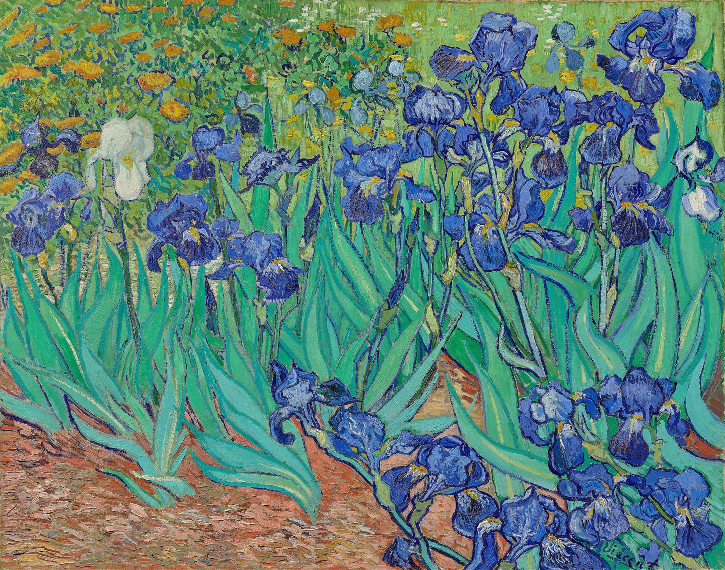 Van Gogh - Iris
