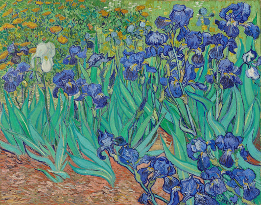 Van Gogh - Iris | Stampa piatta HD o in 3D - Materico