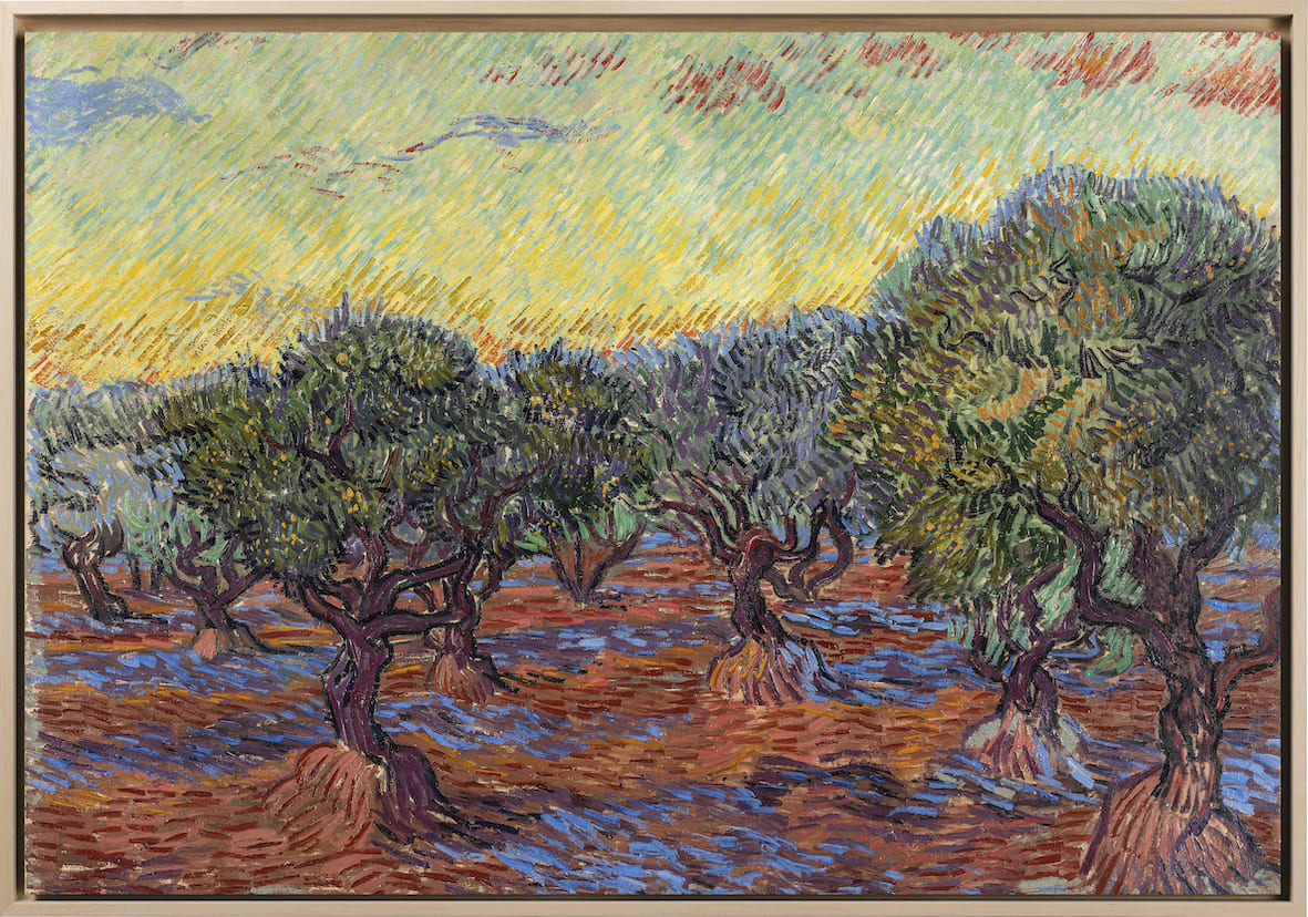 Van Gogh- Olive Grove, Saint-Rémy | Stampa piatta HD o in 3D