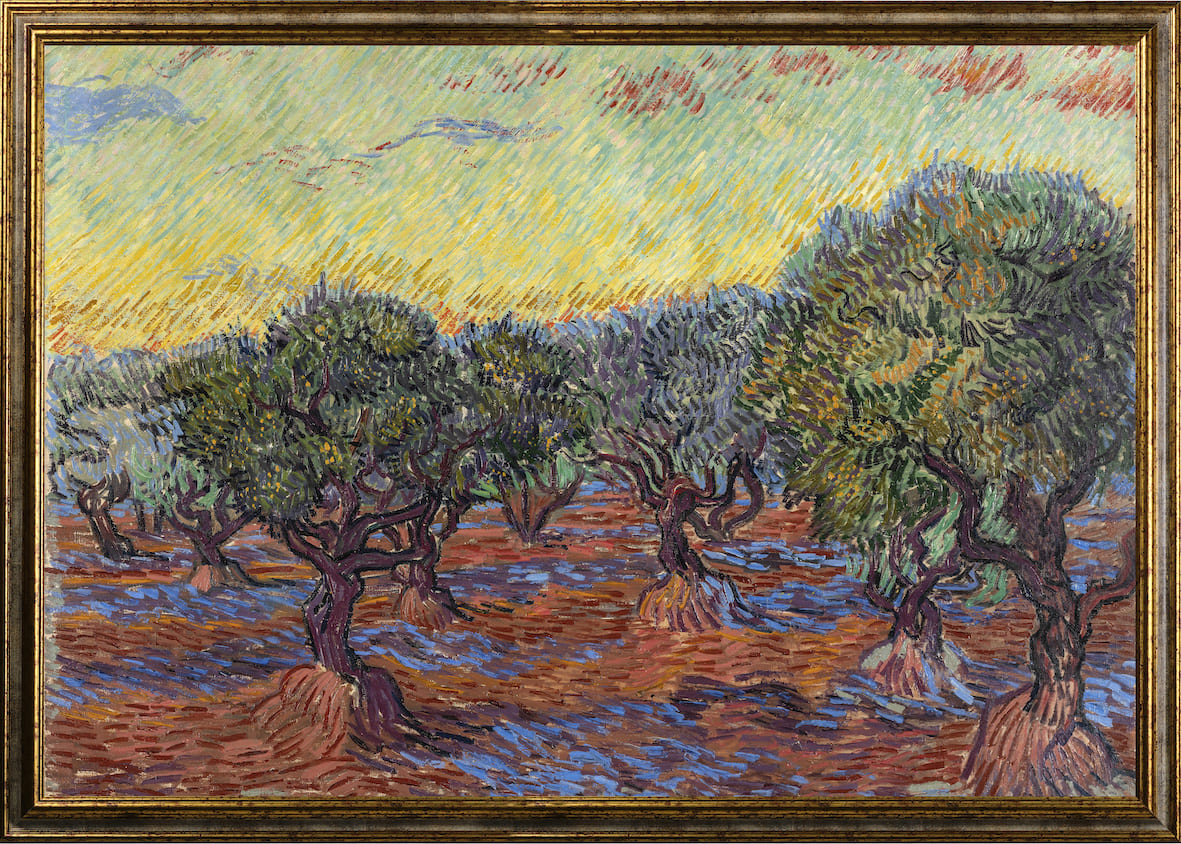 Van Gogh- Olive Grove, Saint-Rémy | Stampa piatta HD o in 3D