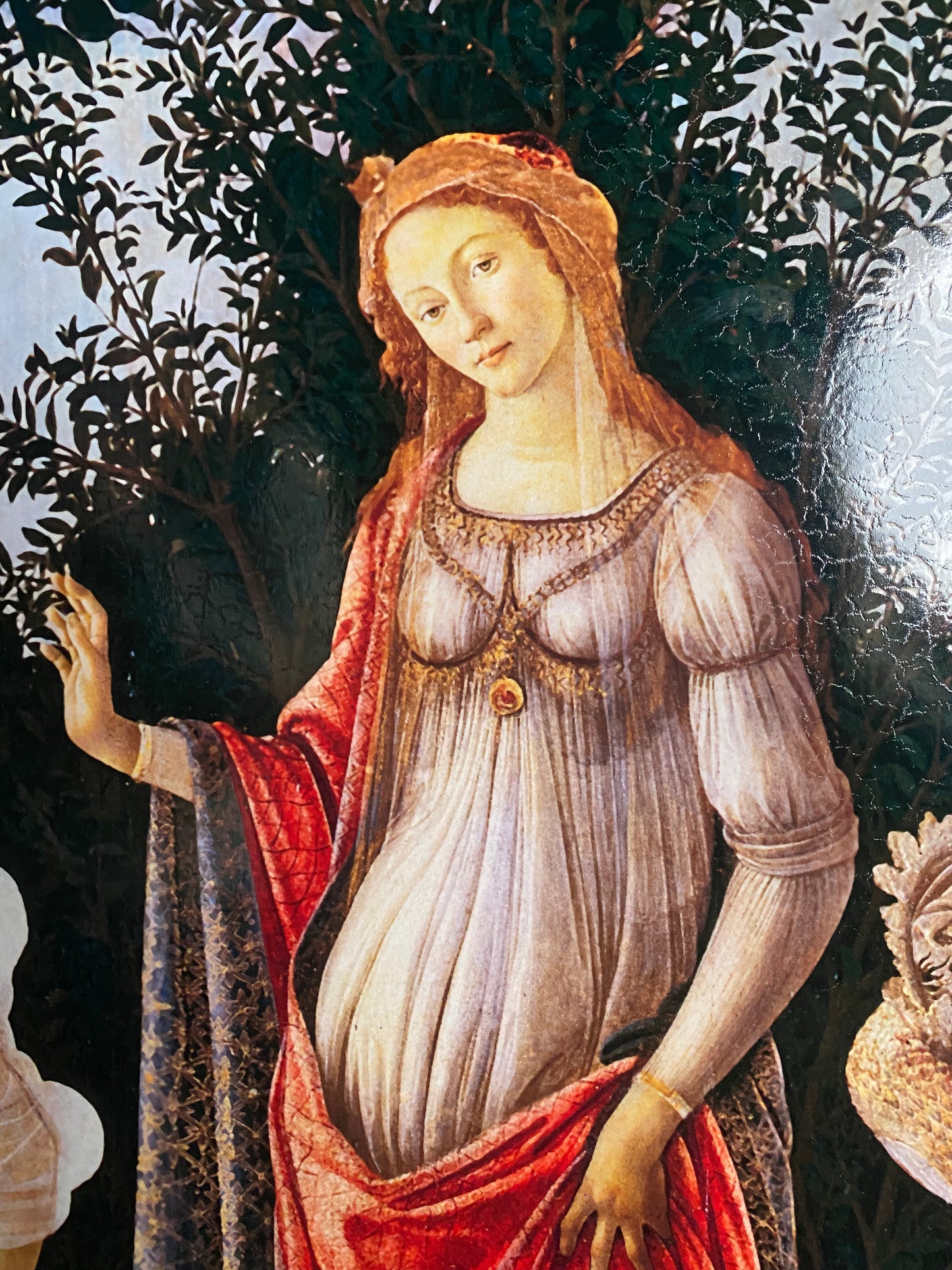 Botticelli - Spring | Glossy effect