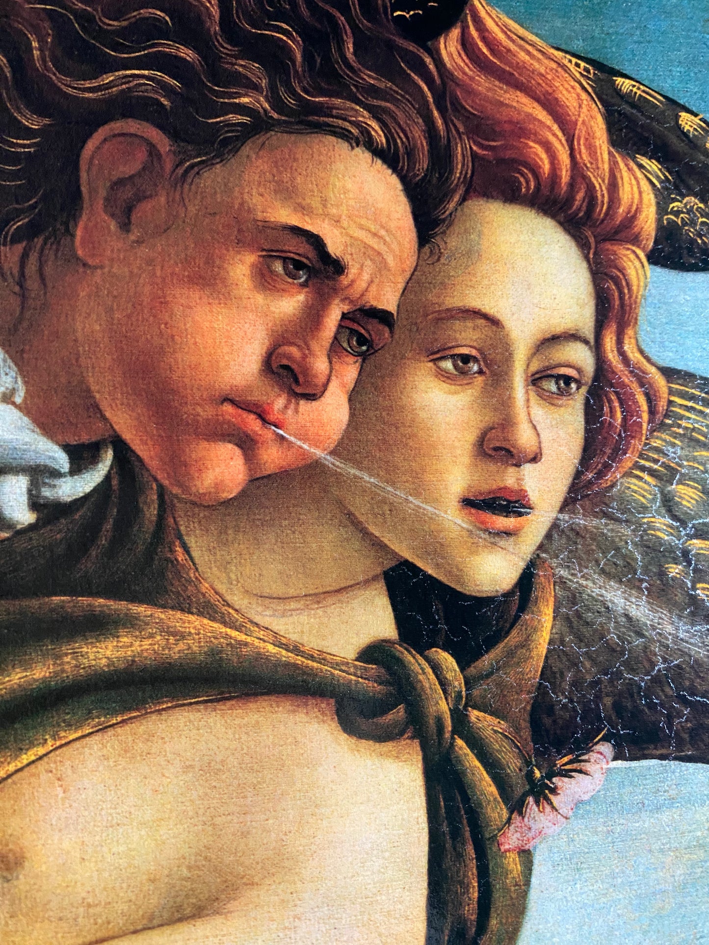 Botticelli - Birth of Venus | Glossy Effect