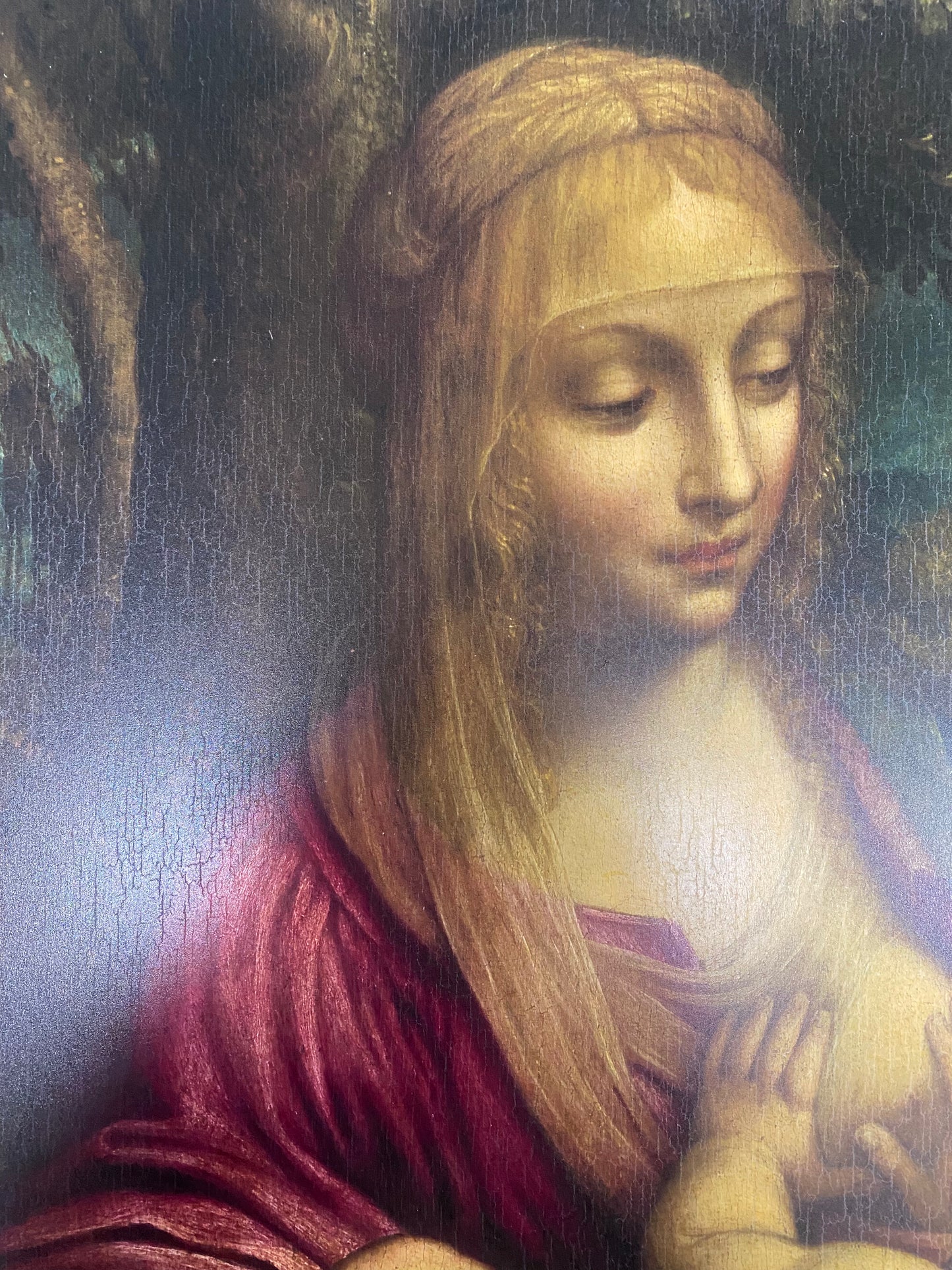 Da Vinci - Saint Anne, the Virgin and Child with the Lamb | Glossy Effect