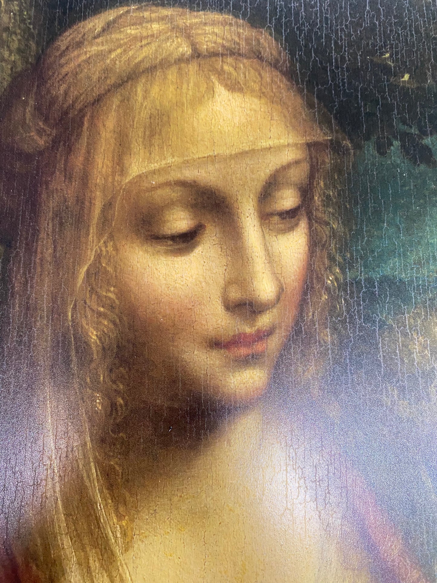 Da Vinci - Saint Anne, the Virgin and Child with the Lamb | Glossy Effect