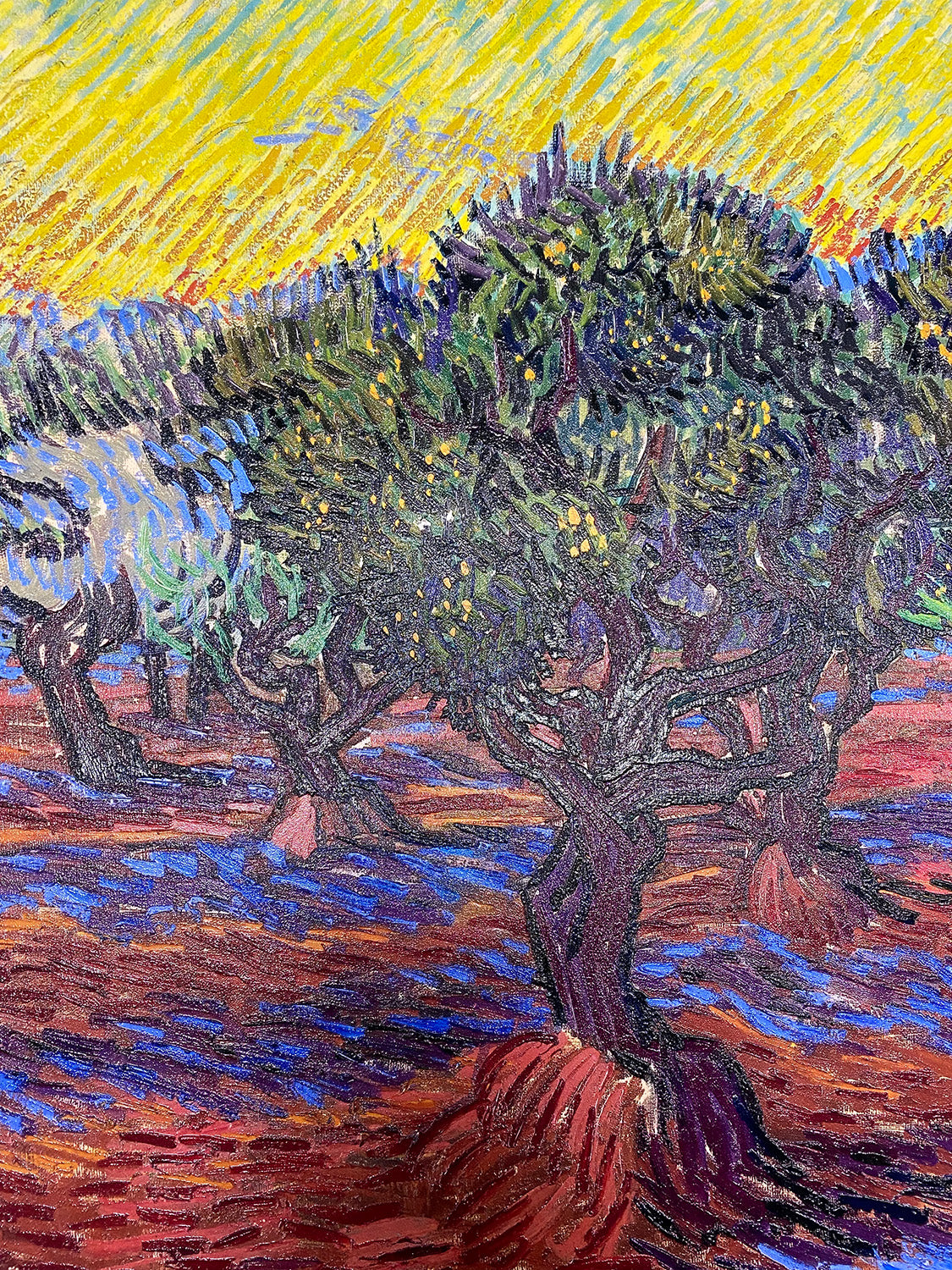 Van Gogh - Olive Grove, Saint-Rémy | Stampa piatta HD o in 3D