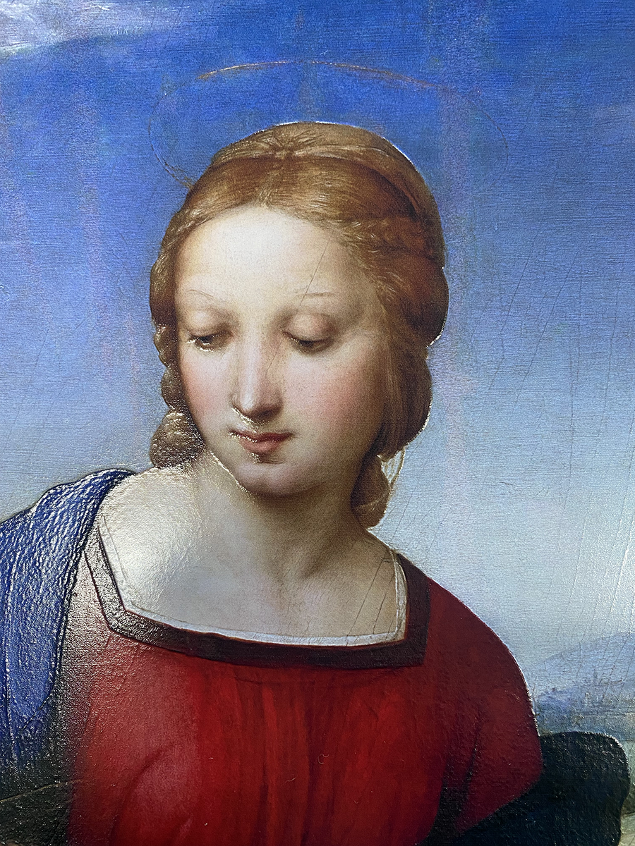 Raffaello - Madonna del cardellino
