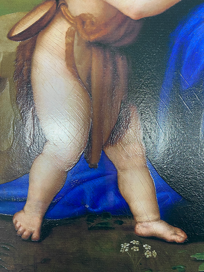 Raffaello - Madonna del cardellino