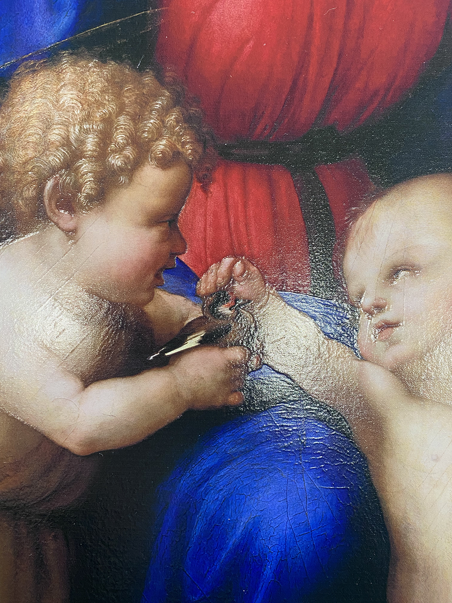 Raffaello - Madonna del cardellino