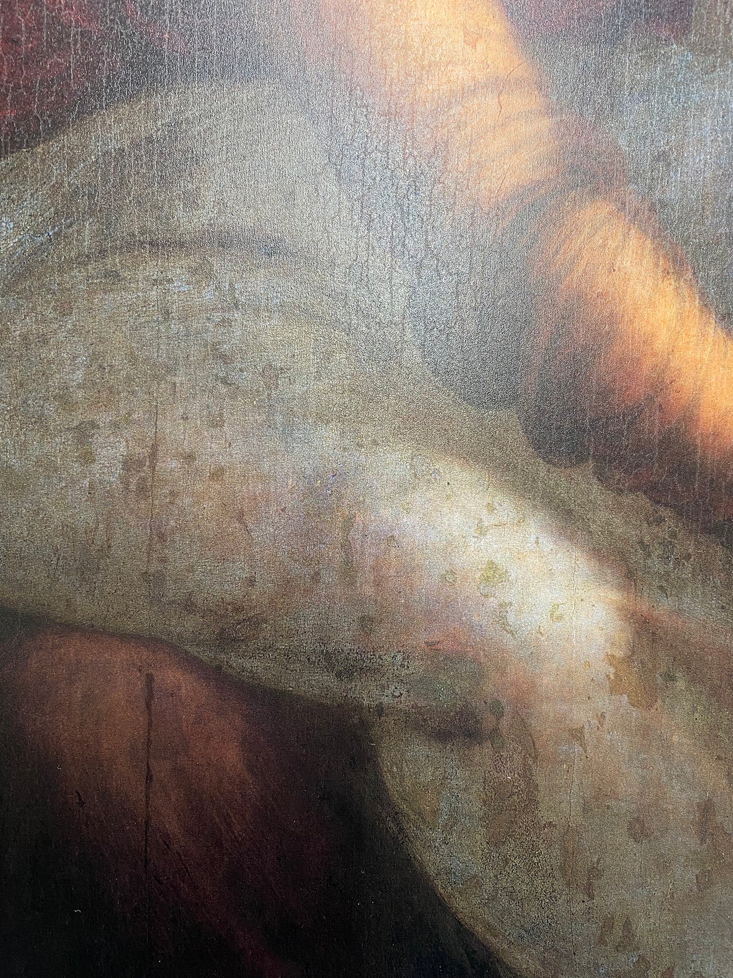 Da Vinci - Sant’Anna, la Vergine e il Bambino con l’agnellino | Effetto lucido